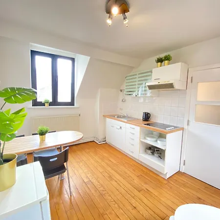 Large Authentic Antwerp Apartments Exterior photo