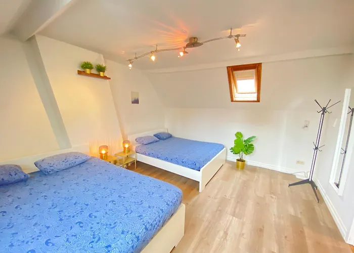 Large Authentic Antwerp Apartments
