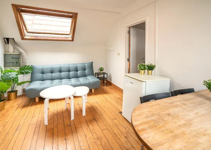 Large Authentic Antwerp Apartments