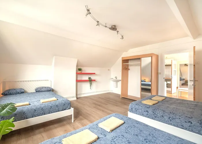 Large Authentic Antwerp Apartments
