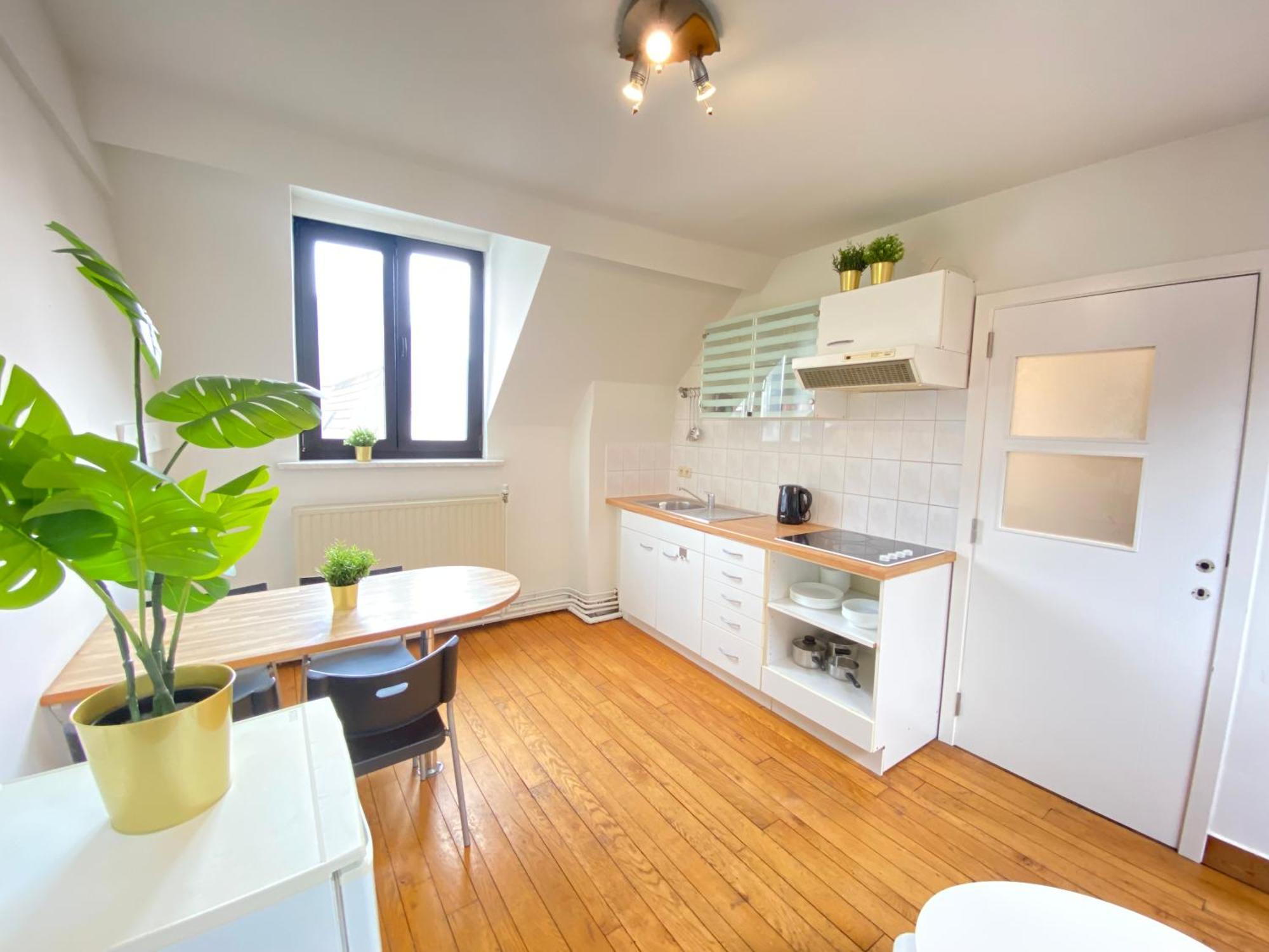 Apartment Large Authentic Antwerp