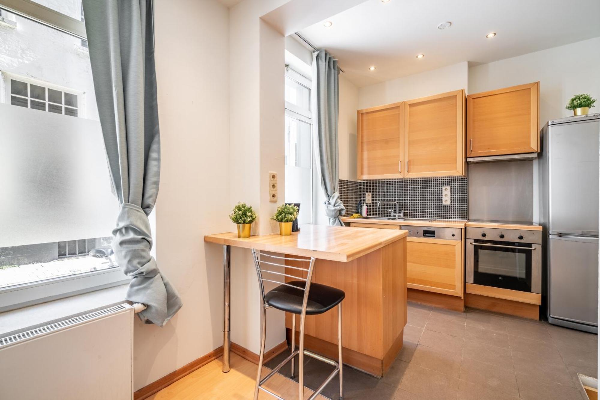 Apartment Large Authentic Antwerp
