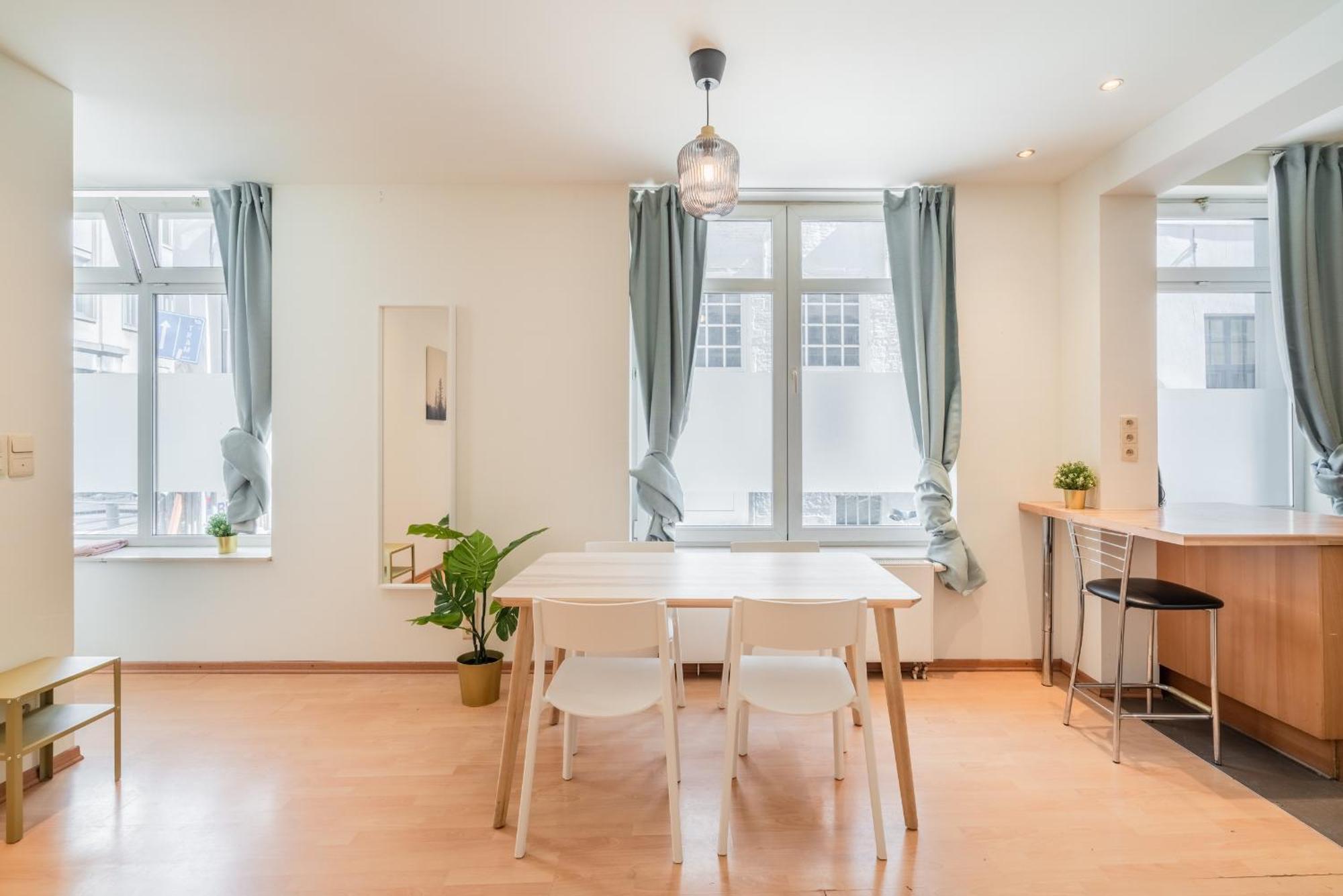 Large Authentic Apartment Antwerp